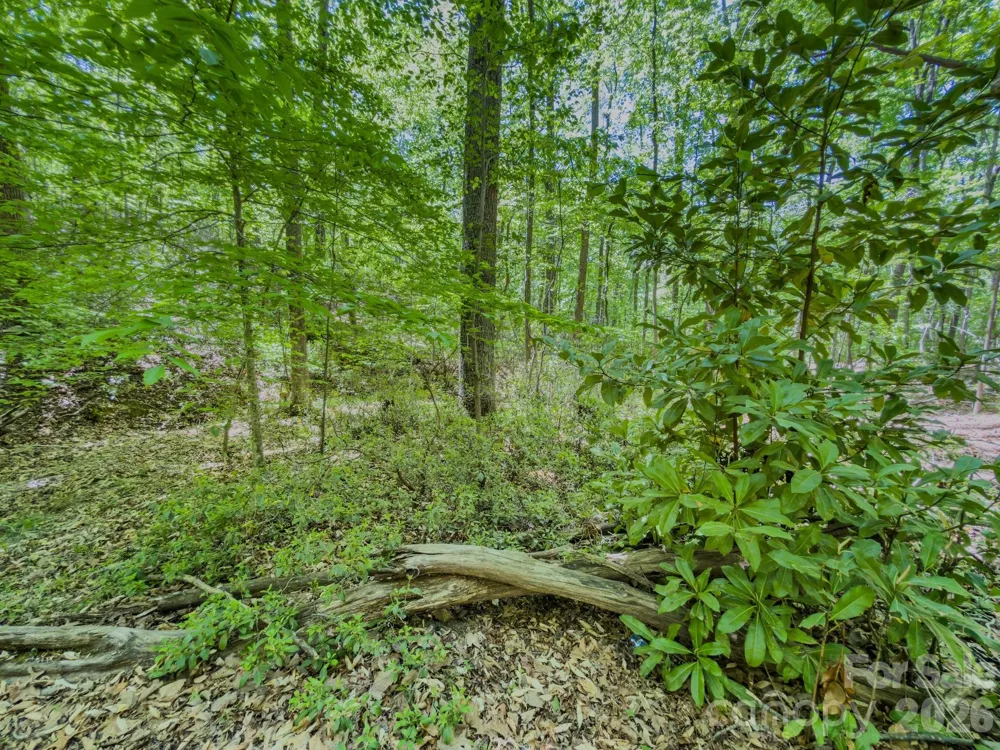 0 Sunset Drive Asheboro, NC 27205