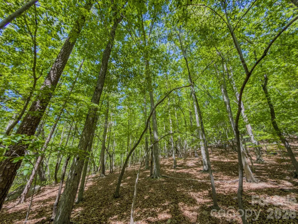 0 Sunset Drive Asheboro, NC 27205