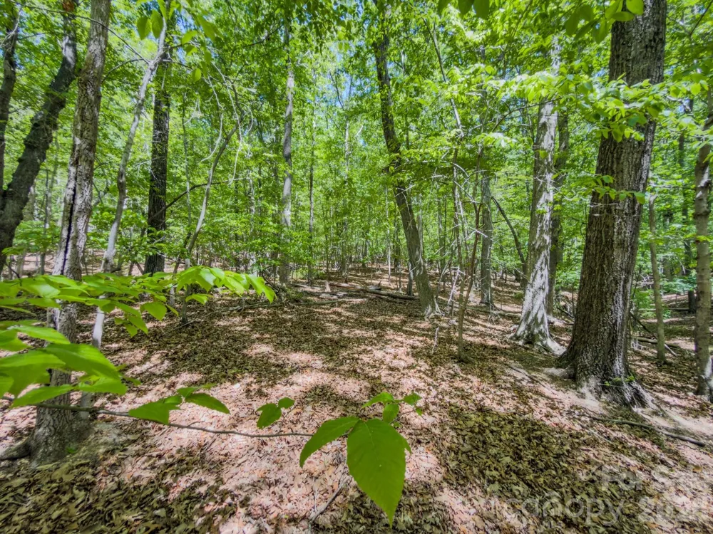 0 Sunset Drive Asheboro, NC 27205