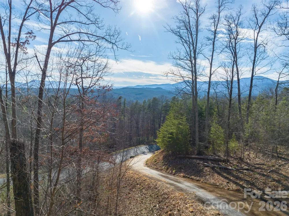 223 Rock Ledge Drive Lake Lure, NC 28746