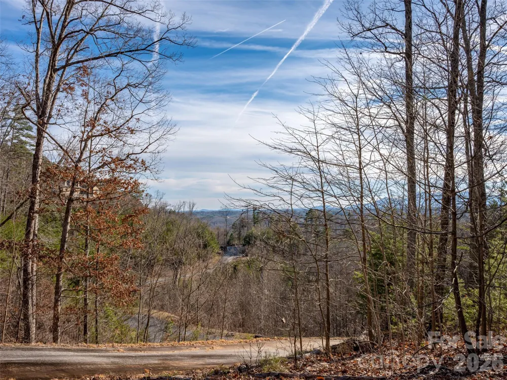 223 Rock Ledge Drive Lake Lure, NC 28746