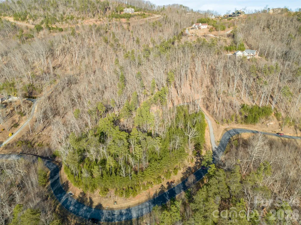 223 Rock Ledge Drive Lake Lure, NC 28746