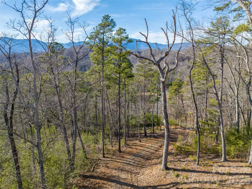 223 Rock Ledge Drive Lake Lure, NC 28746