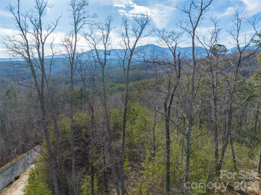 223 Rock Ledge Drive Lake Lure, NC 28746