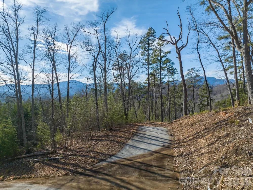 223 Rock Ledge Drive Lake Lure, NC 28746