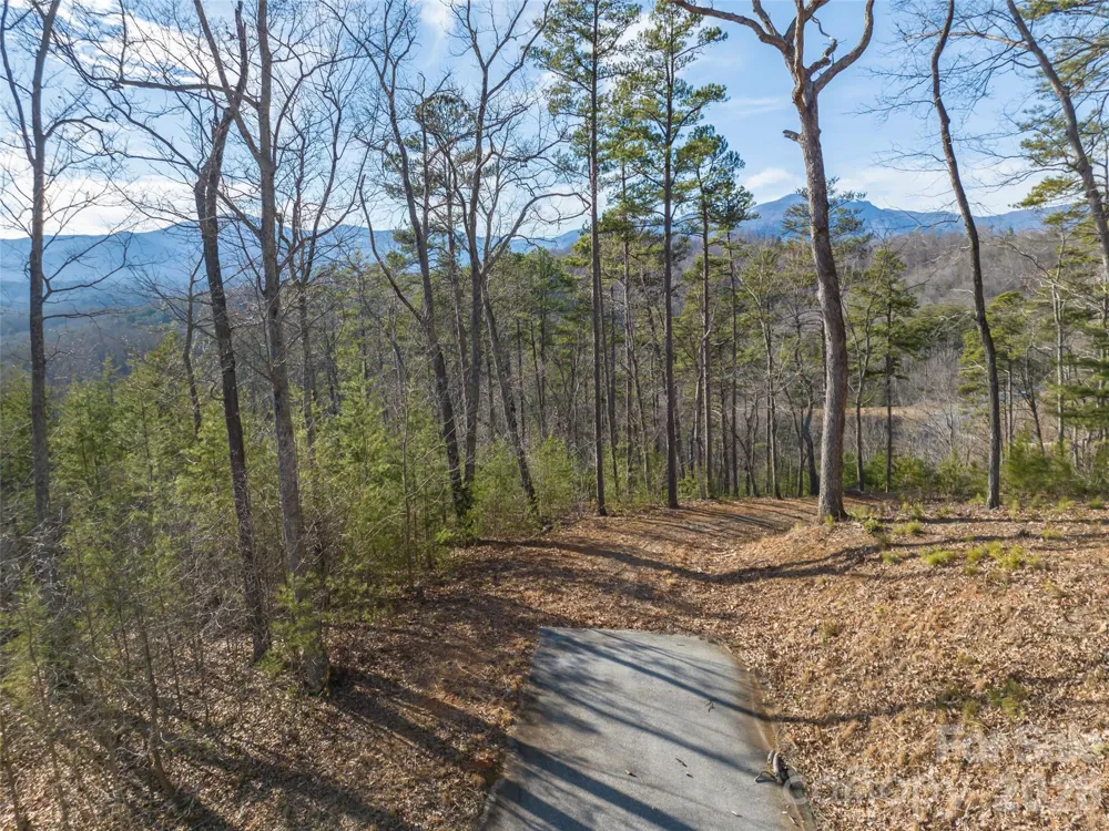 223 Rock Ledge Drive Lake Lure, NC 28746