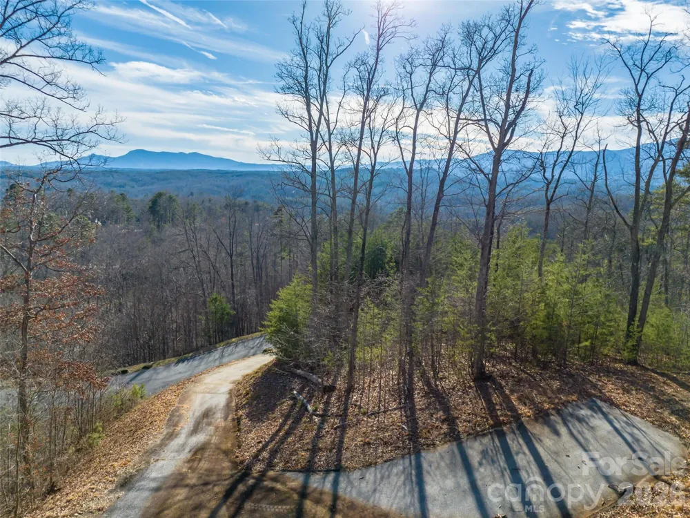 223 Rock Ledge Drive Lake Lure, NC 28746