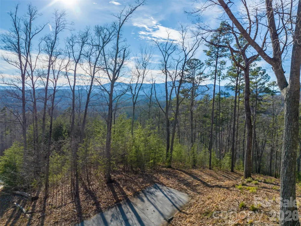 223 Rock Ledge Drive Lake Lure, NC 28746