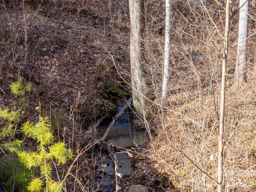 223 Rock Ledge Drive Lake Lure, NC 28746