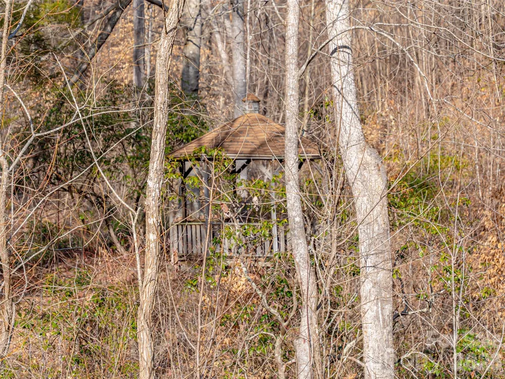 223 Rock Ledge Drive Lake Lure, NC 28746