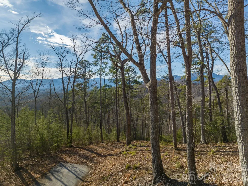 223 Rock Ledge Drive Lake Lure, NC 28746