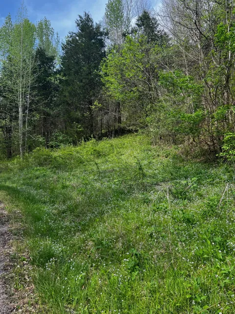0 Weber Lane