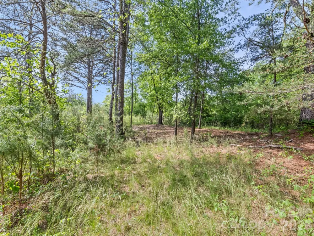 311 Soco Gap Road Ellenboro, NC 28040