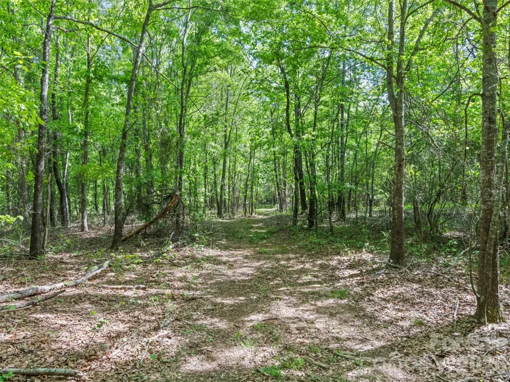 311 Soco Gap Road Ellenboro, NC 28040