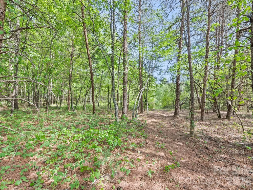 311 Soco Gap Road Ellenboro, NC 28040