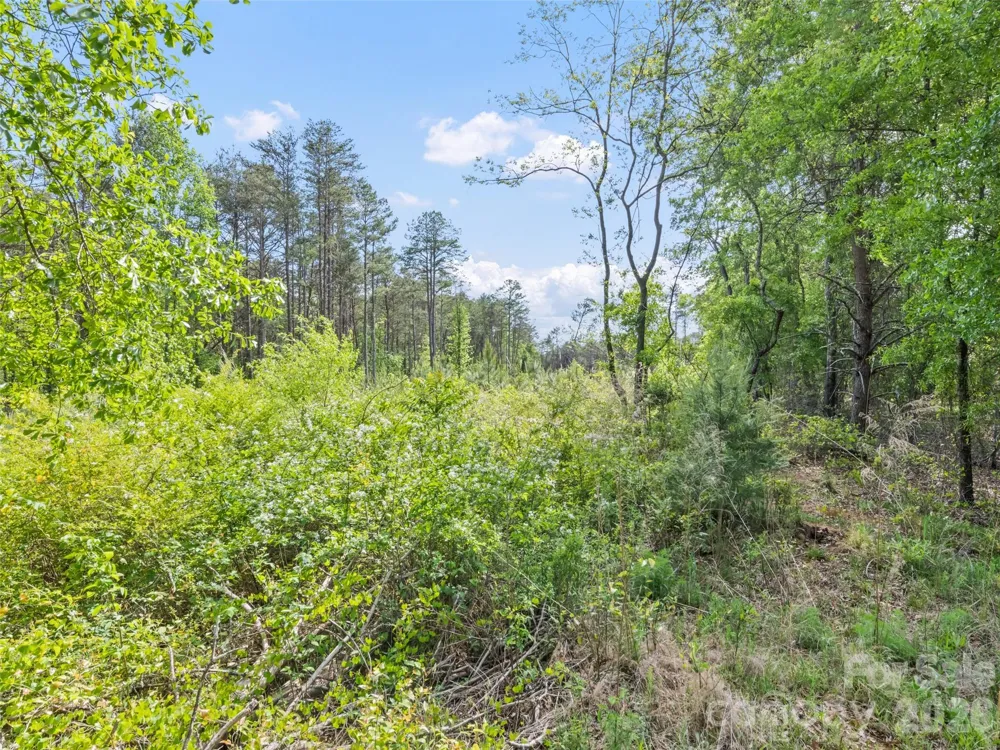 311 Soco Gap Road Ellenboro, NC 28040