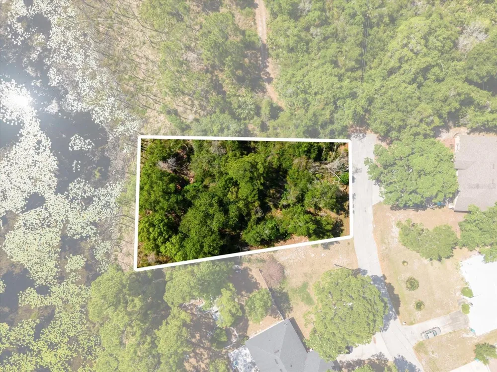 1351 MELSHIRE AVENUE Deltona, FL 32738