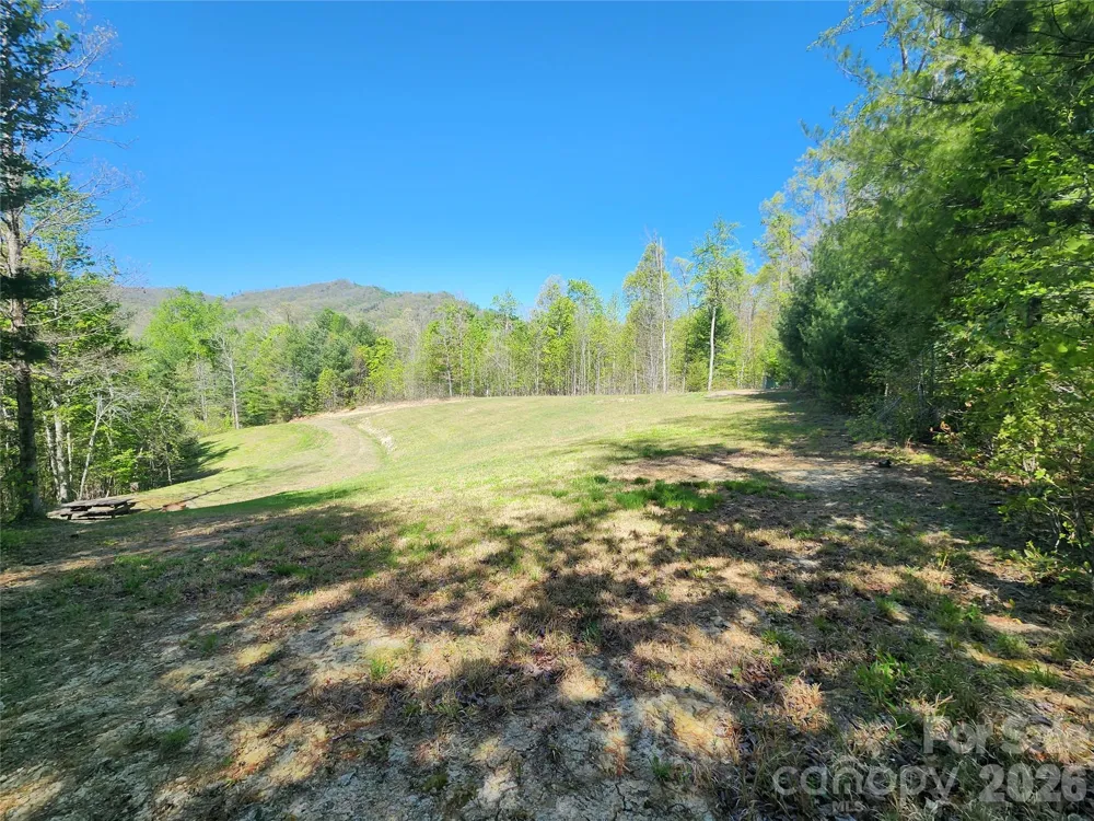 889 Firefly Trail Marshall, NC 28753