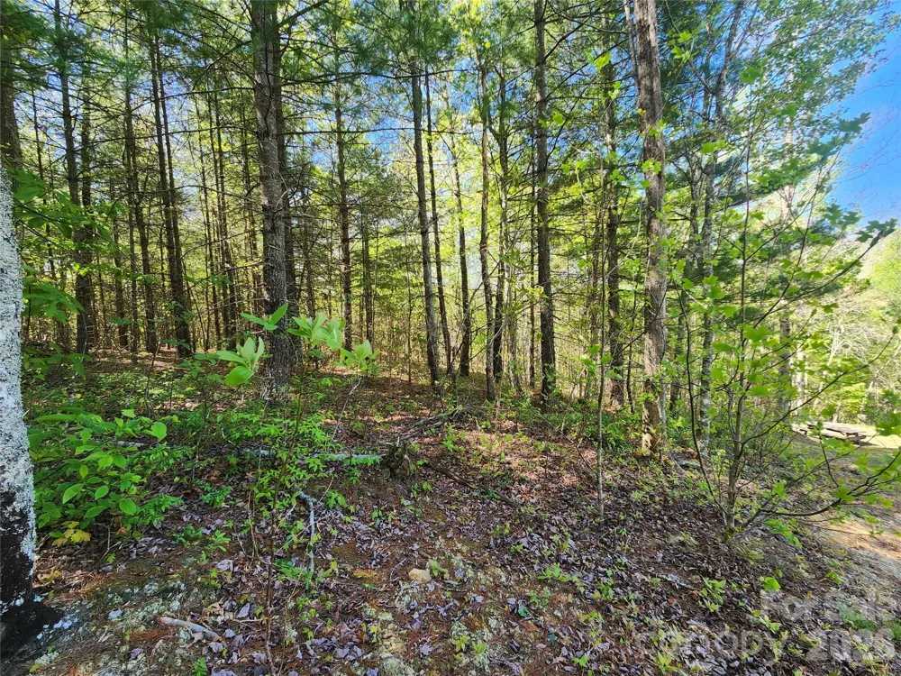 889 Firefly Trail Marshall, NC 28753