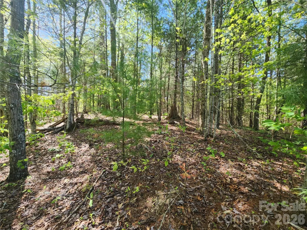 889 Firefly Trail Marshall, NC 28753
