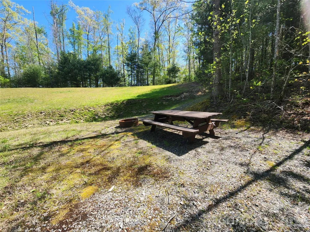 889 Firefly Trail Marshall, NC 28753