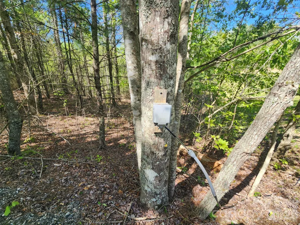 889 Firefly Trail Marshall, NC 28753