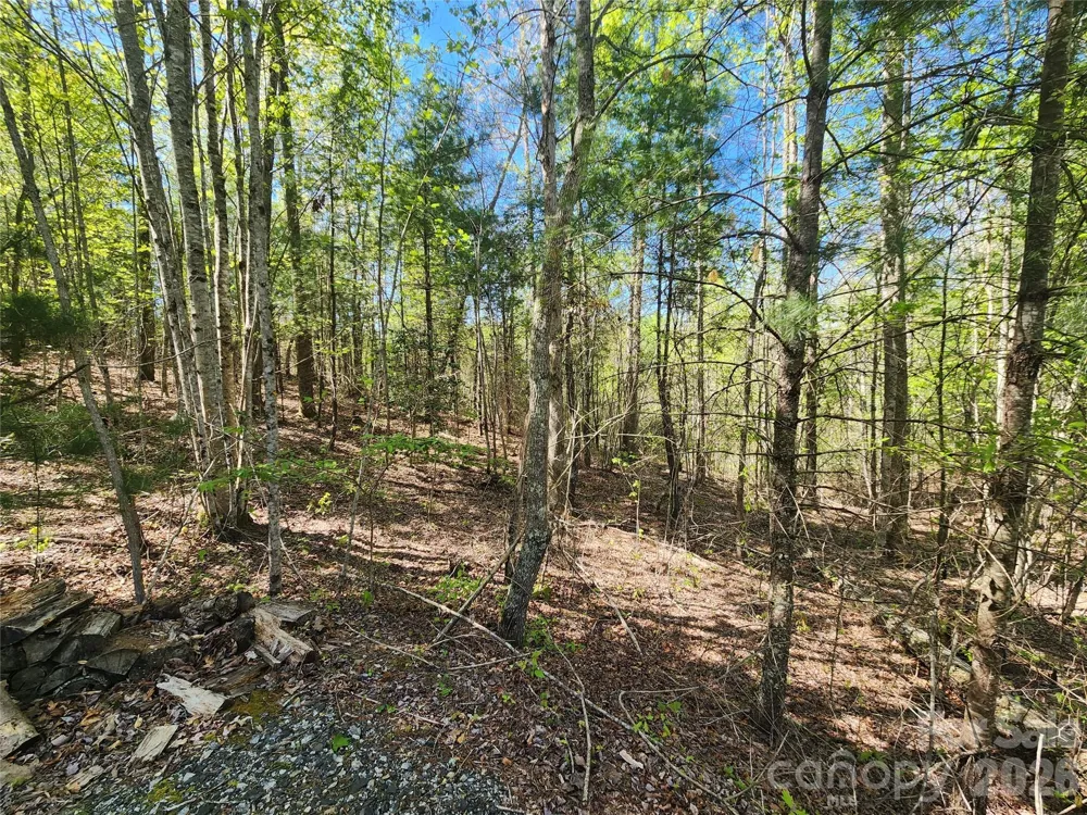 889 Firefly Trail Marshall, NC 28753