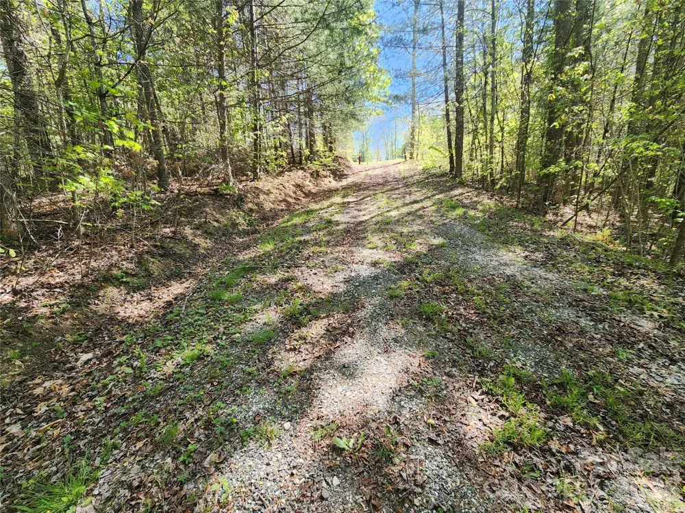 889 Firefly Trail Marshall, NC 28753