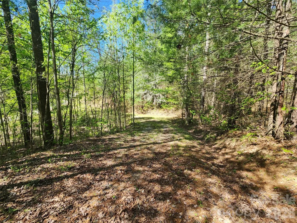 889 Firefly Trail Marshall, NC 28753