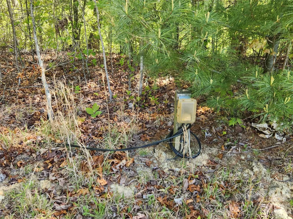 889 Firefly Trail Marshall, NC 28753