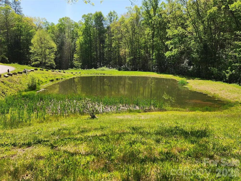 889 Firefly Trail Marshall, NC 28753