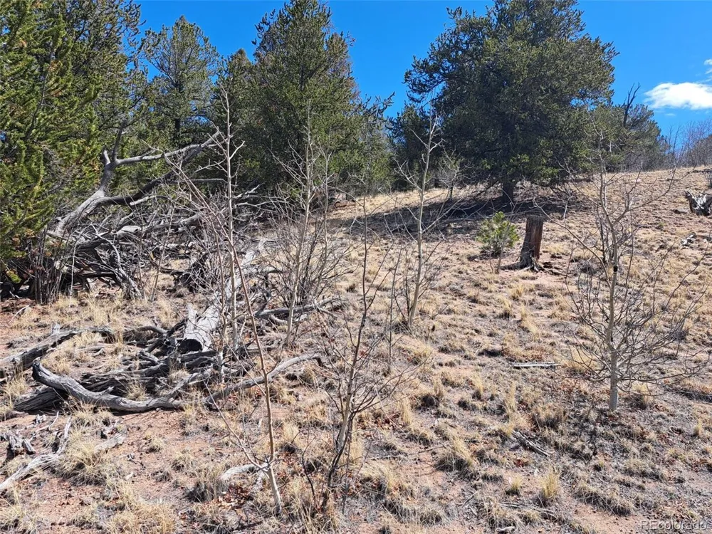 182 Starling Way Como, CO 80432