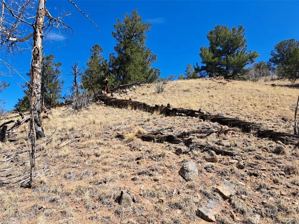 182 Starling Way Como, CO 80432