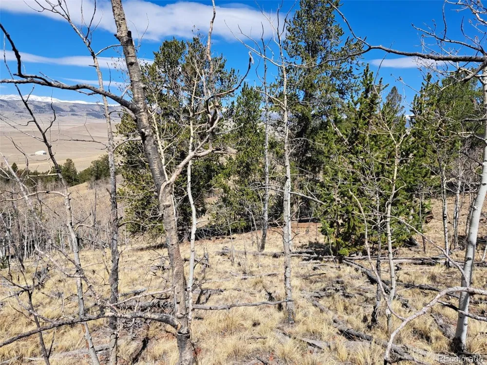 182 Starling Way Como, CO 80432