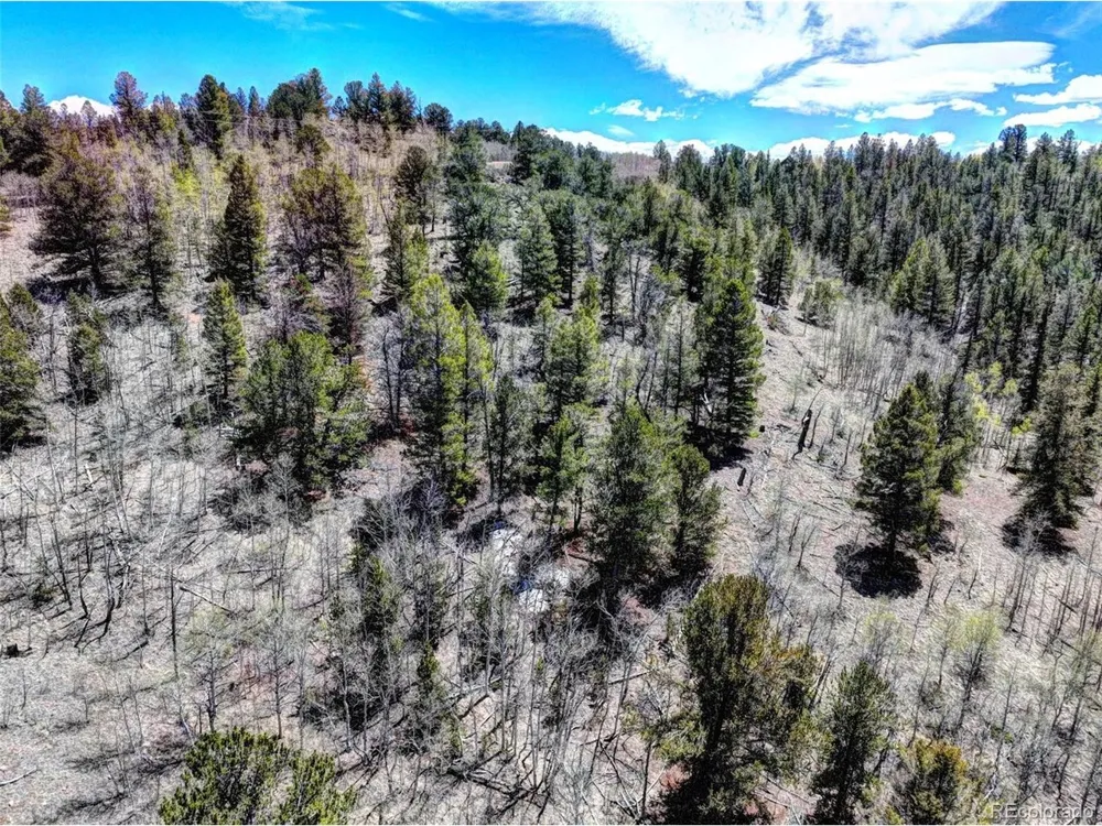 182 Starling Way Como, CO 80432