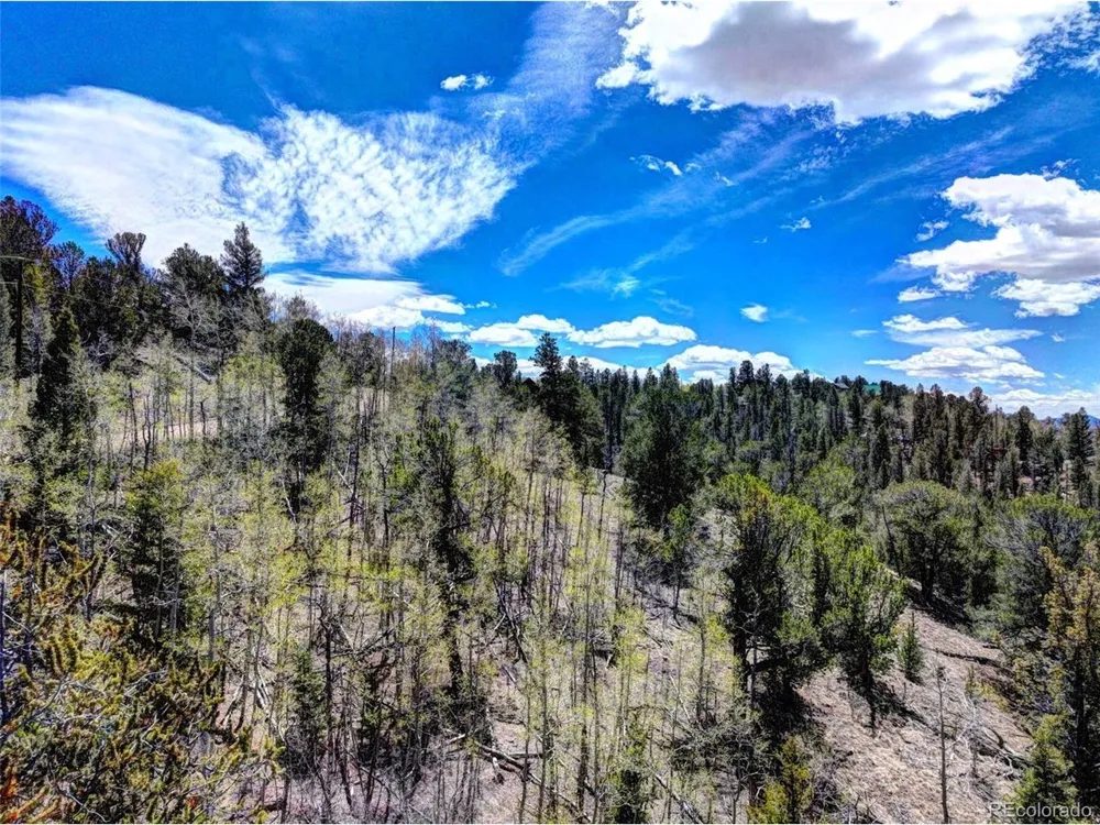 182 Starling Way Como, CO 80432