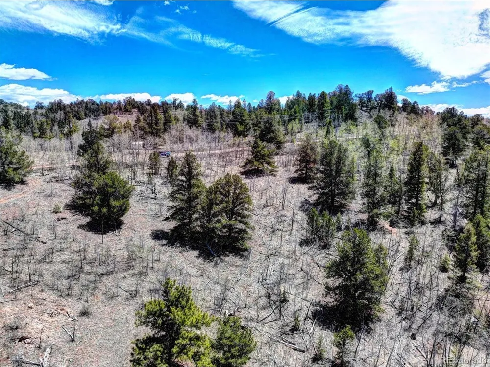 182 Starling Way Como, CO 80432