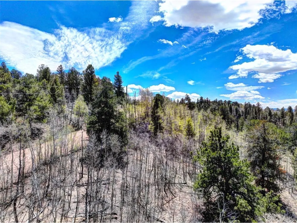 182 Starling Way Como, CO 80432