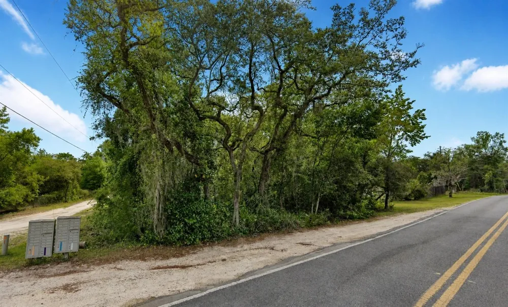 NE 154TH PLACE Fort Mc Coy, FL 32134