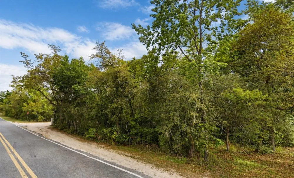 NE 154TH PLACE Fort Mc Coy, FL 32134