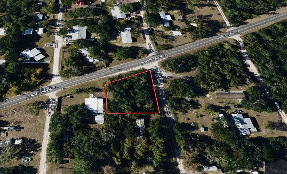 NE 154TH PLACE Fort Mc Coy, FL 32134