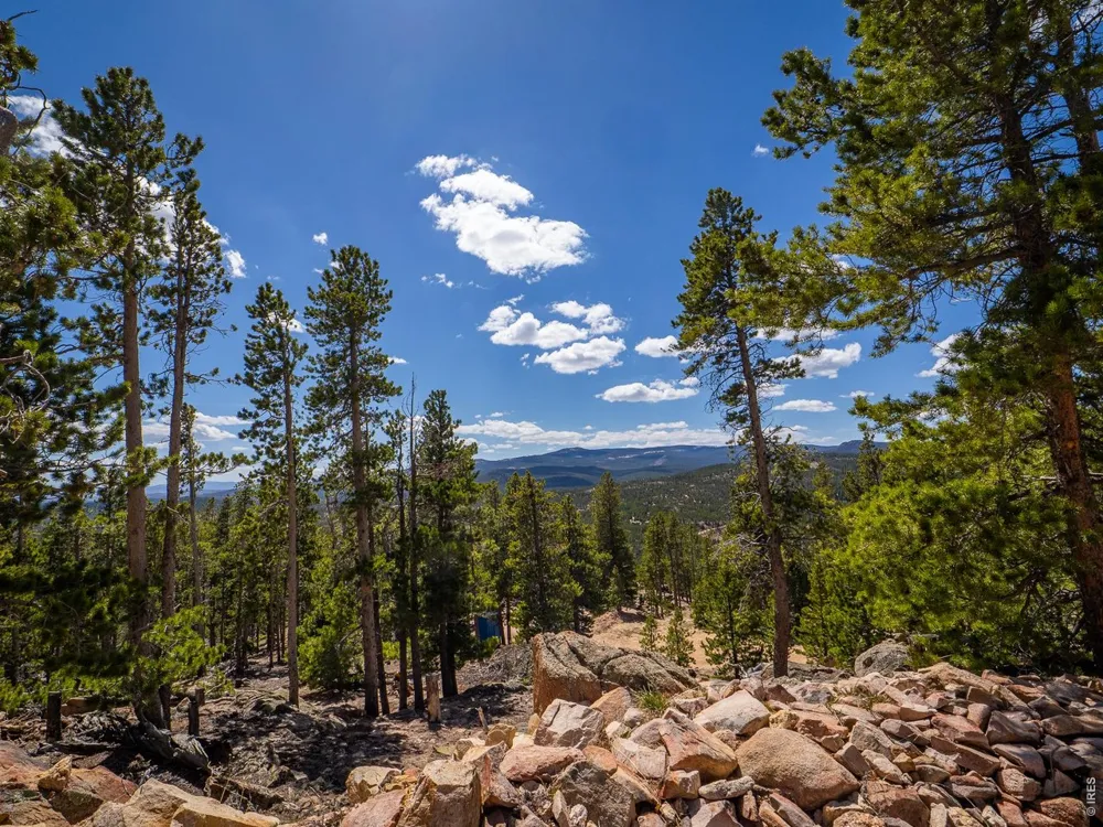 132 Dogrib Court Red Feather Lakes, CO 80545