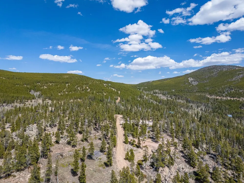 132 Dogrib Court Red Feather Lakes, CO 80545