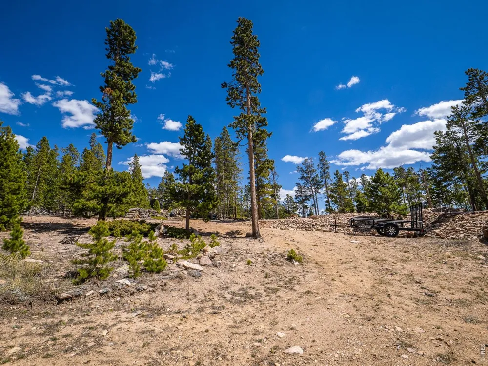 132 Dogrib Court Red Feather Lakes, CO 80545