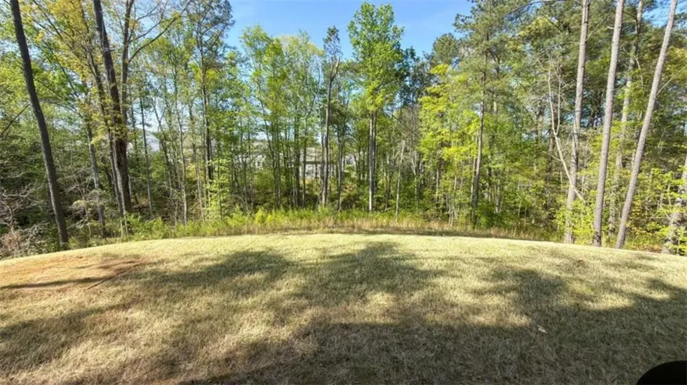832 Brown Thrasher Way Bremen, GA 30110