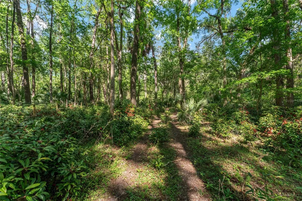15120 SE 85TH STREET Ocklawaha, FL 32179