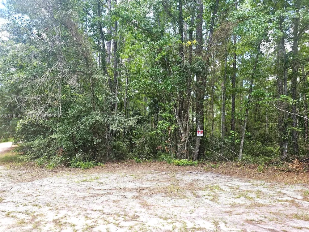 SE 2nd ST Palatka, FL 32177