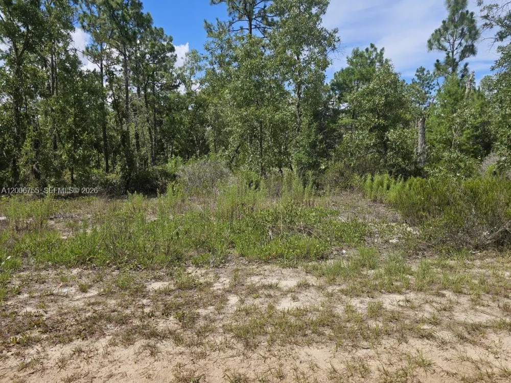 136 Utah ST Palatka, FL 32640