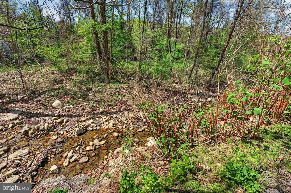 202 LAKE ARROWHEAD ROAD Luray, VA 22835