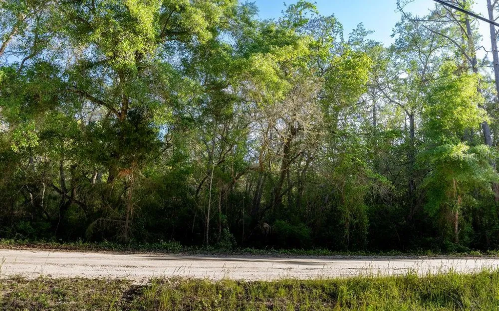 LAKE MAREGARET BOULEVARD Pomona Park, FL 32181